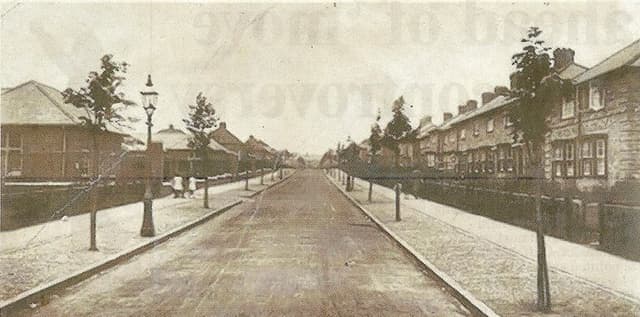 A straight estate road with a lamp post and young staked street trees on both verges, lined by terraced and semi-detached houses behind front hedges; the print is grainy, like a copy from a printed page.