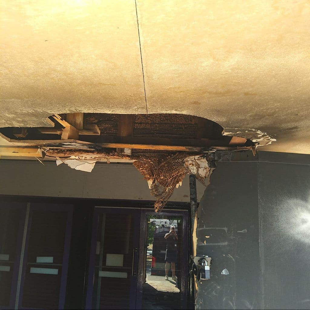 Roof damage