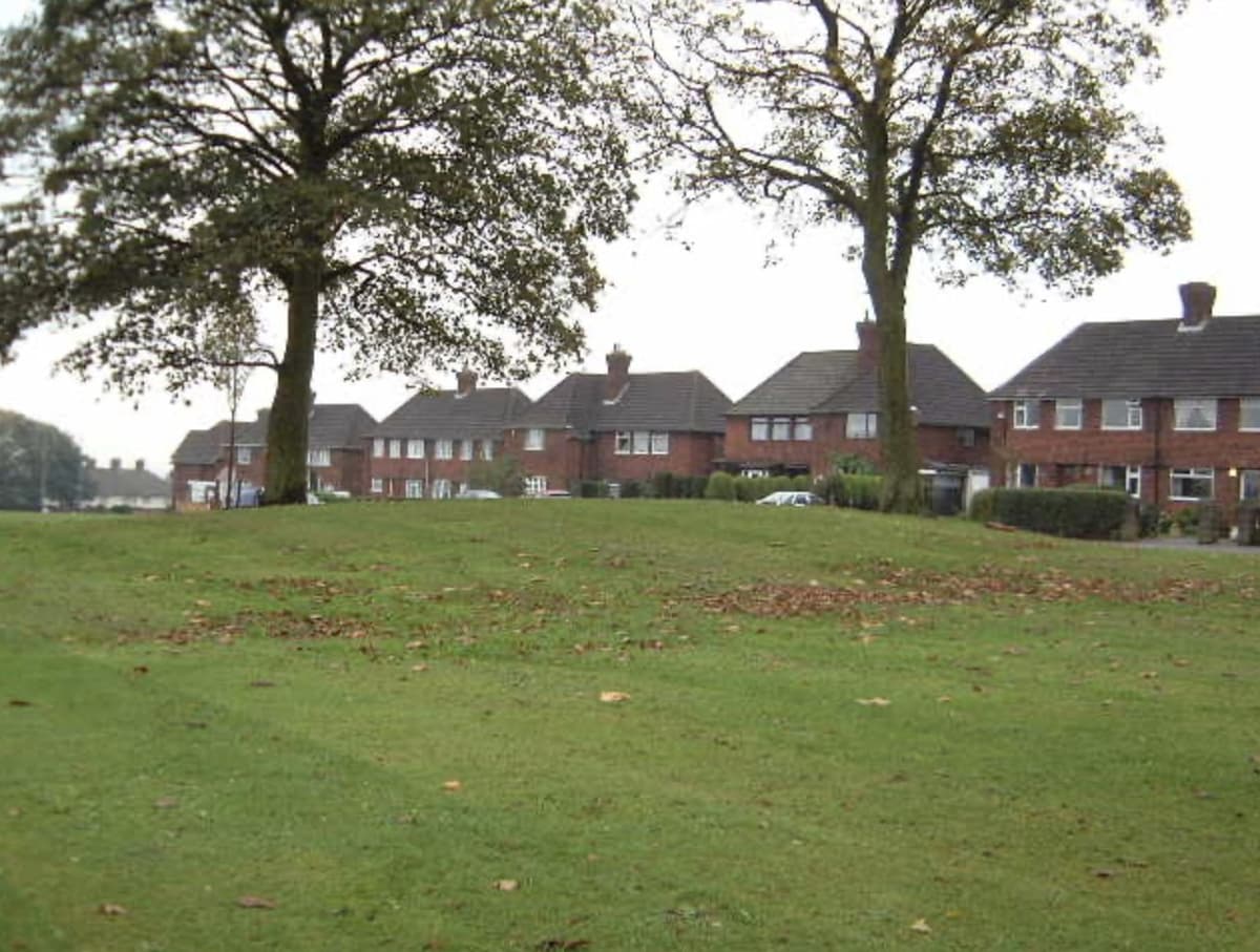 The King’s Standing mound — a low grassy rise with two large trees, and houses on the estate behind