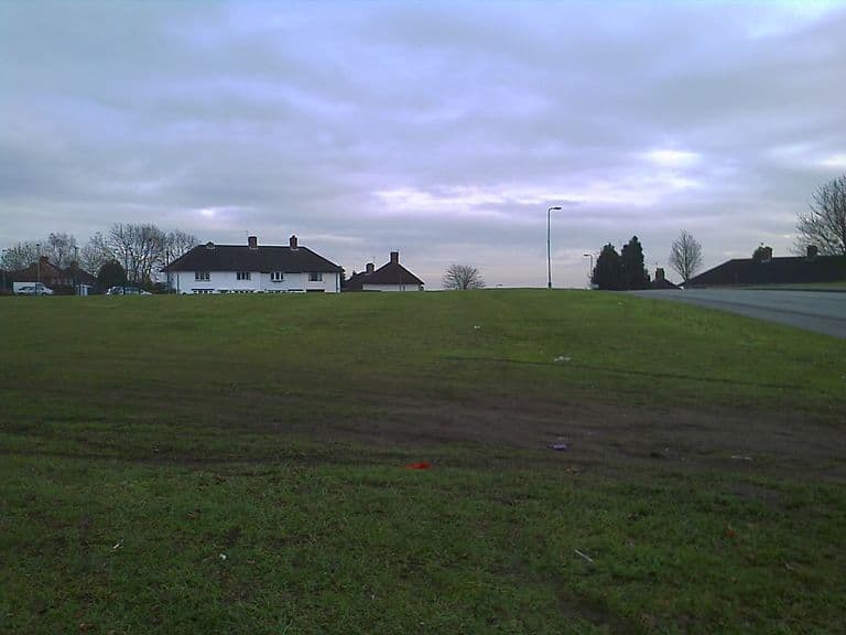 A broad expanse of rough grass rising to the skyline, with white-rendered semi-detached houses and bare trees beyond and a road curving away on the right, under a grey sky.