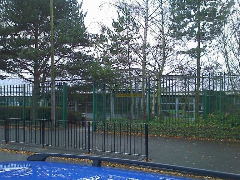 Low, flat-roofed school buildings with large windows, half hidden behind pine and birch trees and tall green security railings; the roof of a blue car is in the foreground.