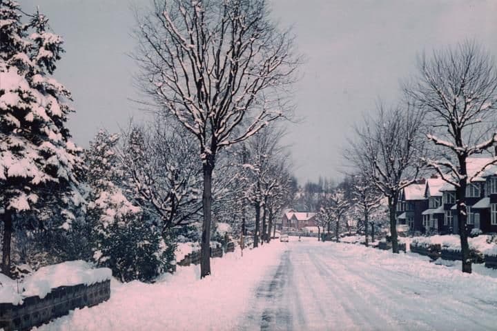 A colour photograph of a residential road in snow, lined with snow-covered trees and houses.
