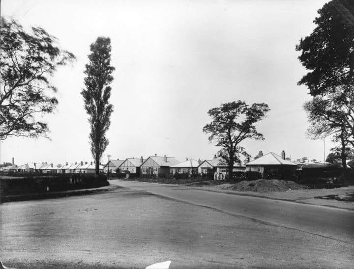 A wide empty road with a tall poplar and other trees, and a row of new houses and bungalows in the distance.
