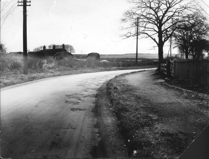 A narrow country lane curving past telegraph poles and large trees, with farm buildings on the horizon.