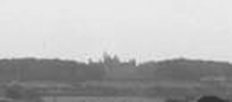 A grainy enlarged detail of a distant skyline, with the towers of Oscott College faintly visible above a line of trees.