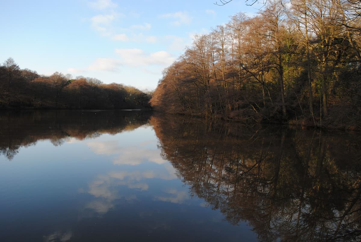 A still lake surrounded by bare winter trees.