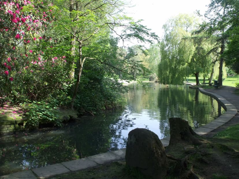 A pond edged with trees and grass in a public park.