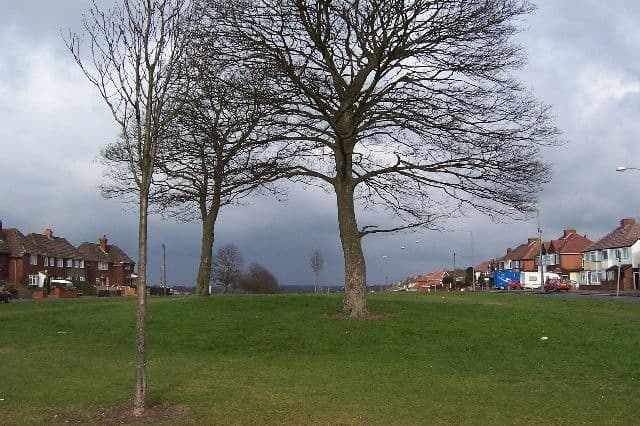 2005: Low grassy hummock with three bare trees on a green beside the road, with inter-war houses behind under a dark sky