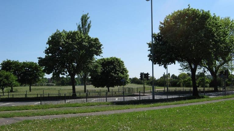 Wide grassy recreation ground with mature trees beside Witton Lodge Road under a clear sky, railings along the pavement