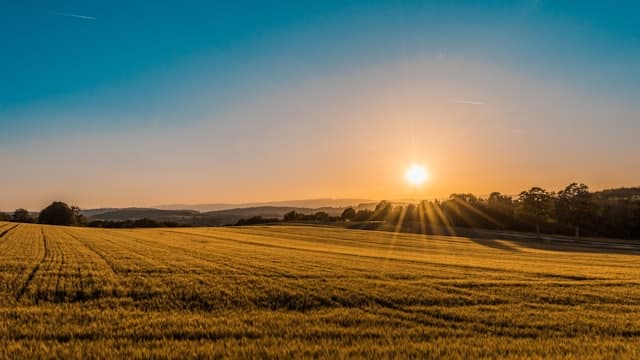 Kingstanding Mound – Protecting Our Heritage