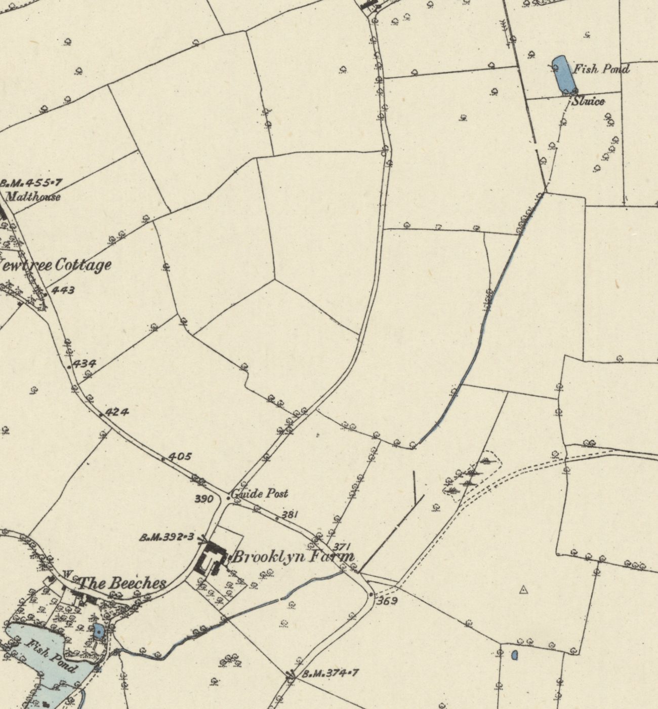 Old map: at top right a blue Fish Pond with a Sluice; a thin blue stream runs south-west across fields towards Brooklyn Farm and the Fish Pond at The Beeches, bottom left