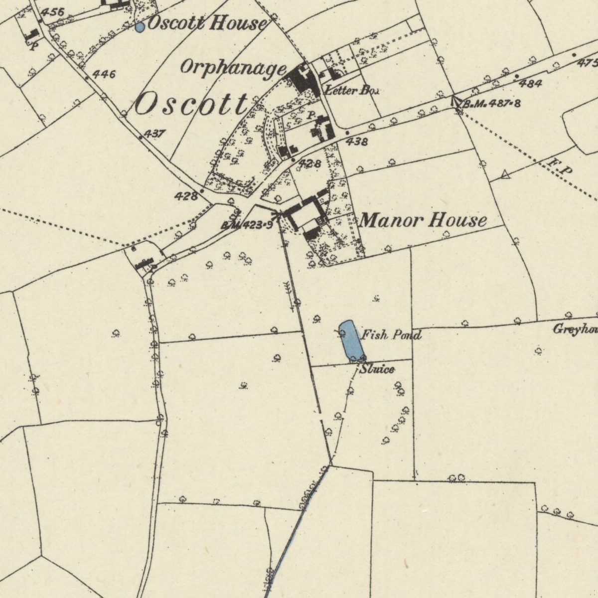 Old map of Oscott: the Orphanage, Oscott House and the Manor House, with a small blue Fish Pond and a Sluice in the field below