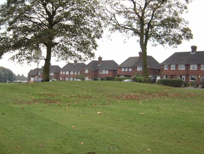 The King’s Standing mound — a low grassy rise with two large trees, and houses on the estate behind