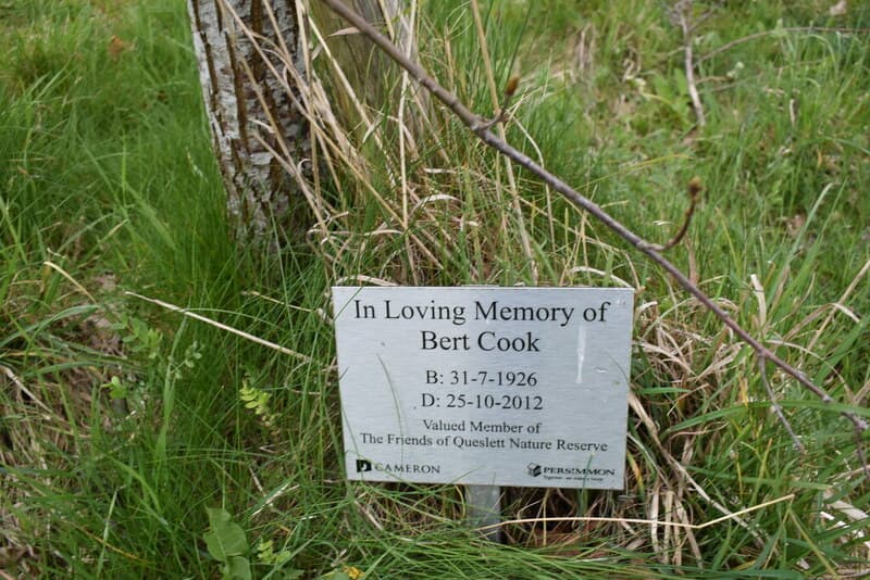 A plaque in the long grass at the foot of a tree: In Loving Memory of Bert Cook, 31-7-1926 to 25-10-2012, Valued Member of The Friends of Queslett Nature Reserve