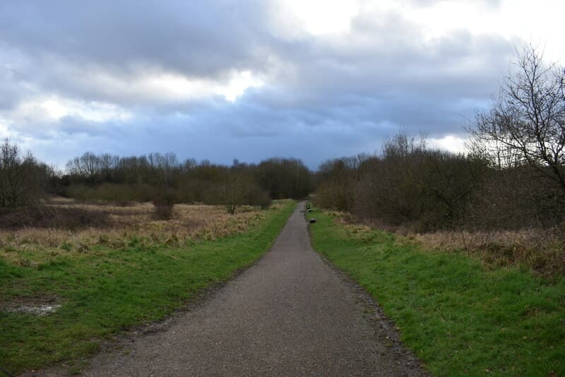 A tarmac path running straight ahead between grass, rough meadow and bare winter trees, under a cloudy sky