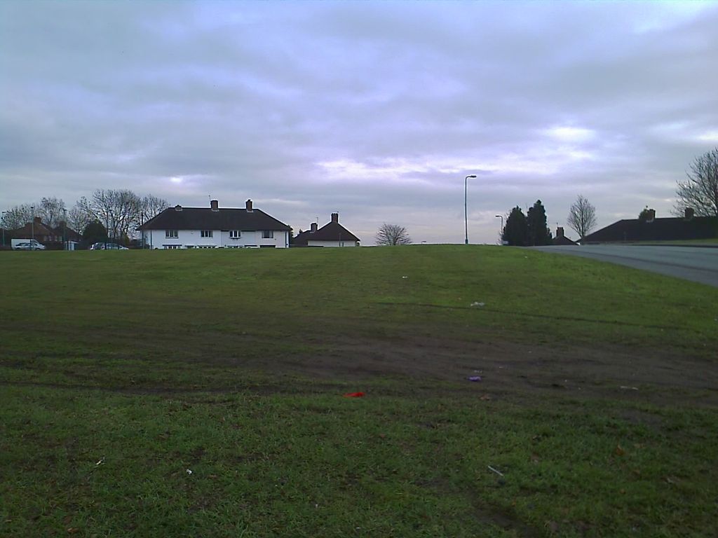A broad expanse of rough grass rising to the skyline, with white-rendered semi-detached houses and bare trees beyond and a road curving away on the right, under a grey sky.