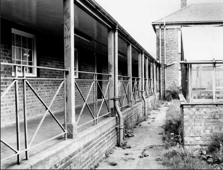 Black-and-white photograph of a covered veranda along a single-storey brick classroom block, with metal railings and drainpipes, a weedy path, a greenhouse on a brick base on the right and a two-storey brick building beyond.