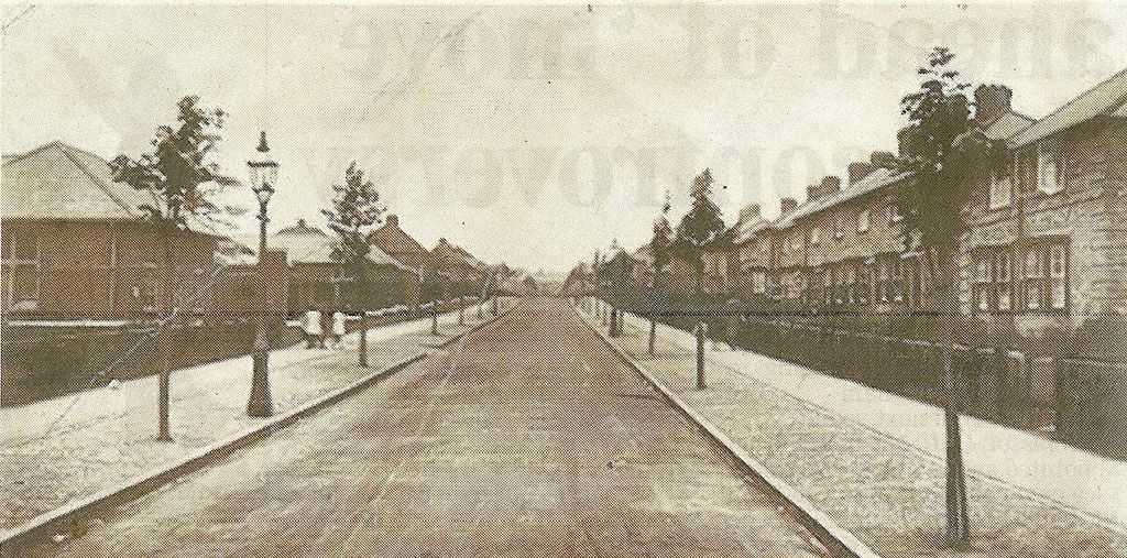 A straight estate road with a lamp post and young staked street trees on both verges, lined by terraced and semi-detached houses behind front hedges; the print is grainy, like a copy from a printed page.
