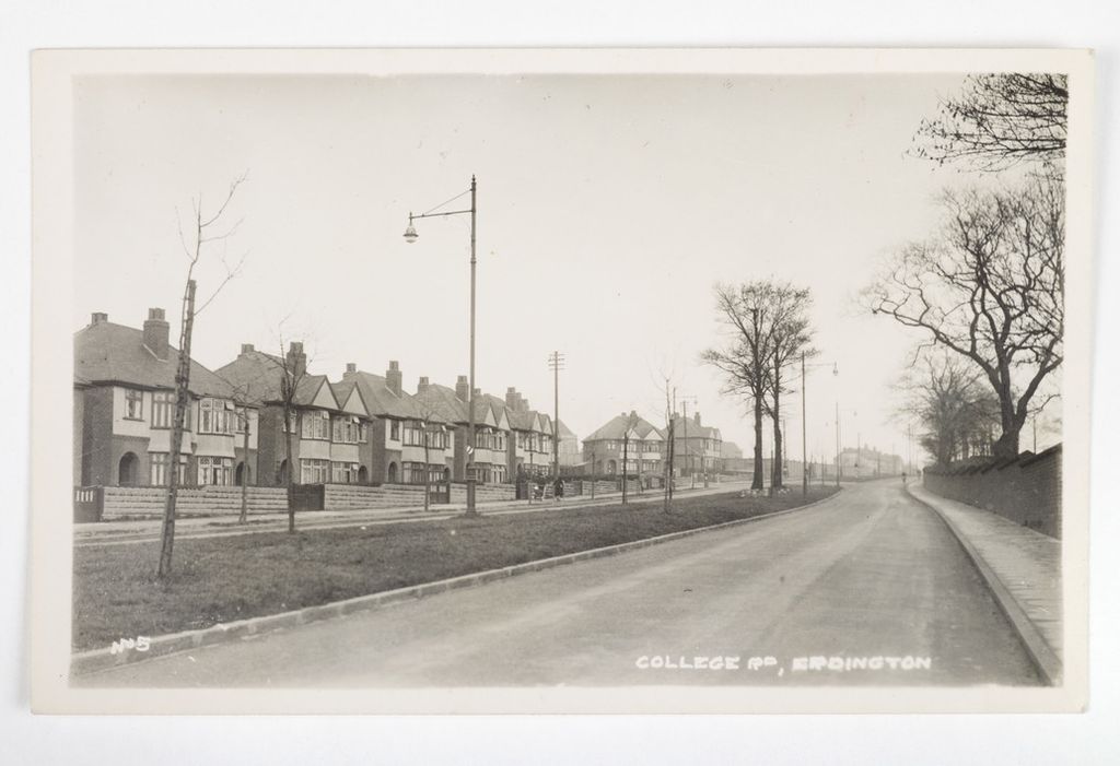 Real-photograph postcard of a wide tree-lined College Road with young saplings, a gas lamp, a row of bay-fronted semi-detached houses and a high brick wall on the right