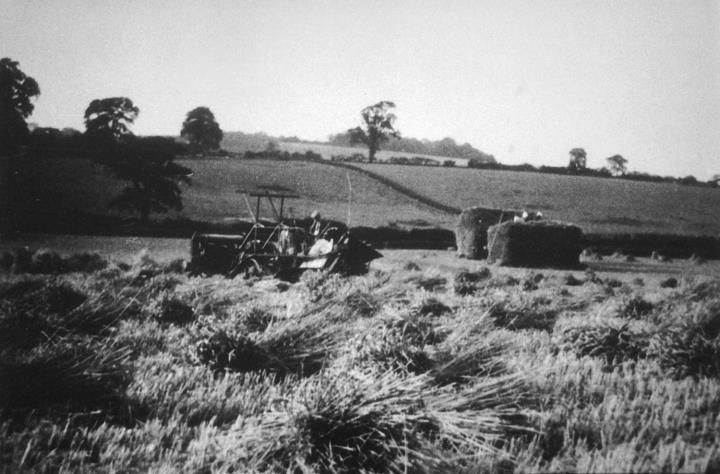 A field of cut crop with a reaping machine and stacked sheaves, a hedge and trees beyond.