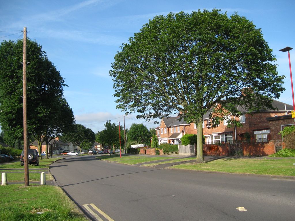 Harringay Road curving between grass verges under a large tree in full leaf, with brick houses behind.