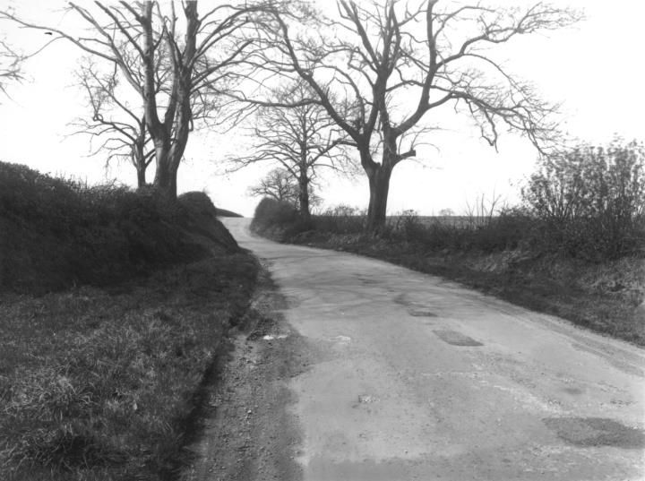 A country road between grass banks and large bare trees.
