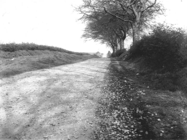 A rough rural track between grass banks and hedges, with a line of trees along its edge.