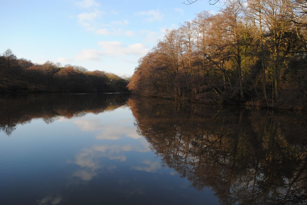 A still lake surrounded by bare winter trees.