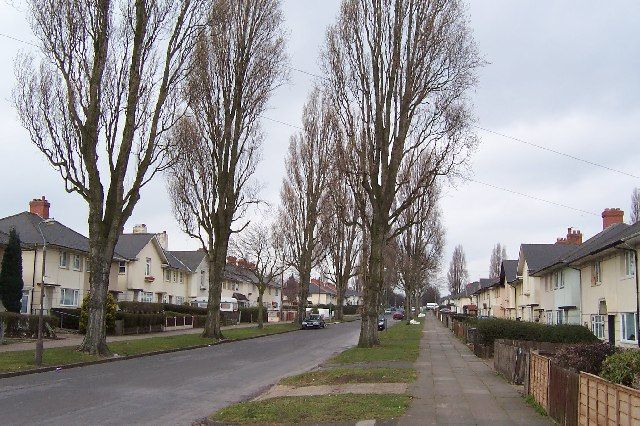A wide tree-lined residential road of inter-war council houses with a grass verge.