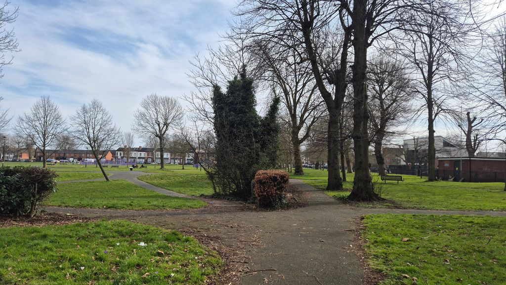 A grassy park with paths and bare trees, houses beyond.