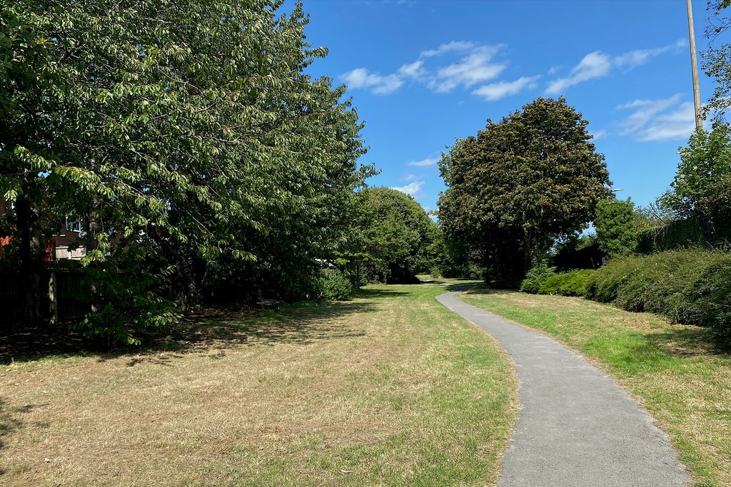 A small grassy park with trees among modern houses.