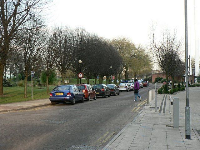 A quiet campus street lined with trees and modern buildings.