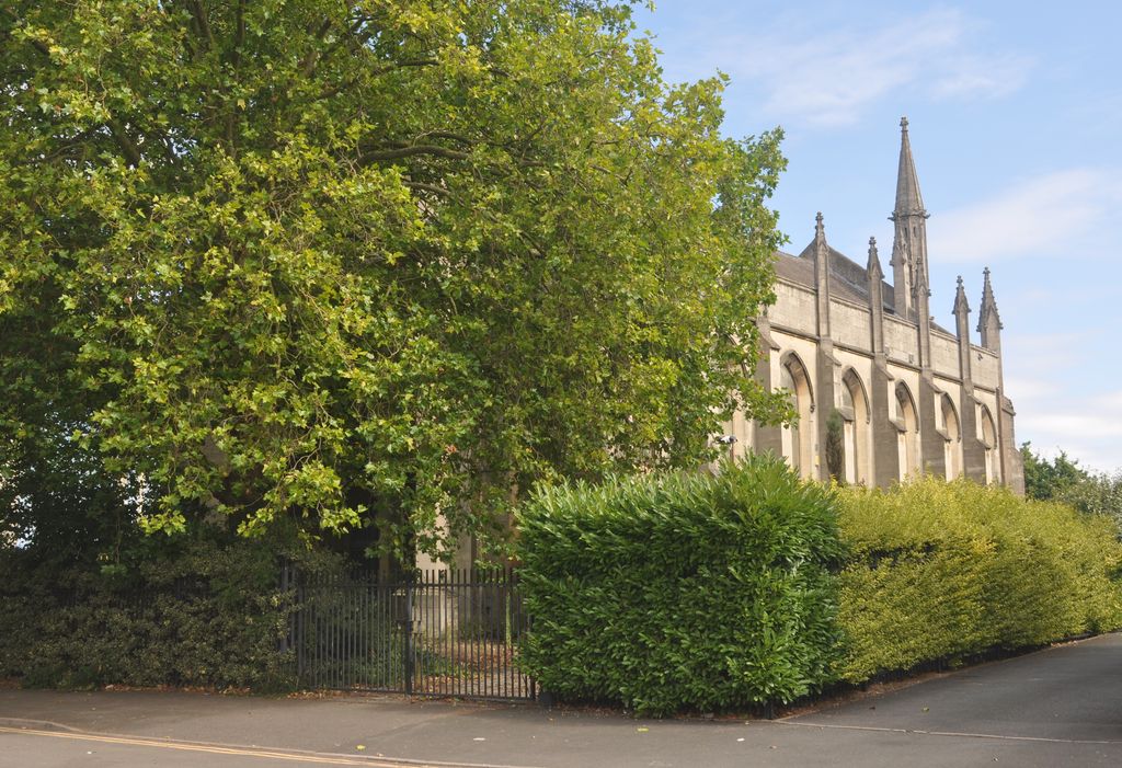 The side of a stone Gothic church with pinnacled buttresses rising above a hedge and a large tree.