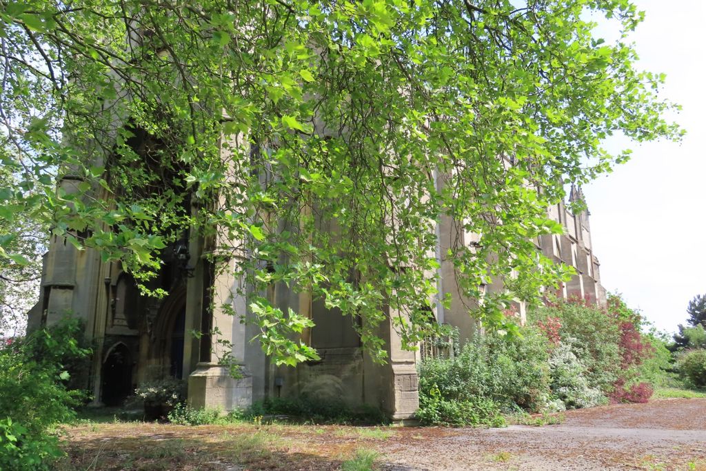 An overgrown churchyard and the stone front of an empty church under trees.