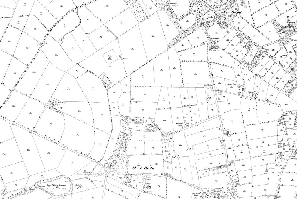 1880s field map with Witton Lodge, Perry Common Road, the Golden Cross inn, Short Heath, Manorial Farm and New Oscott with Oscott College grounds