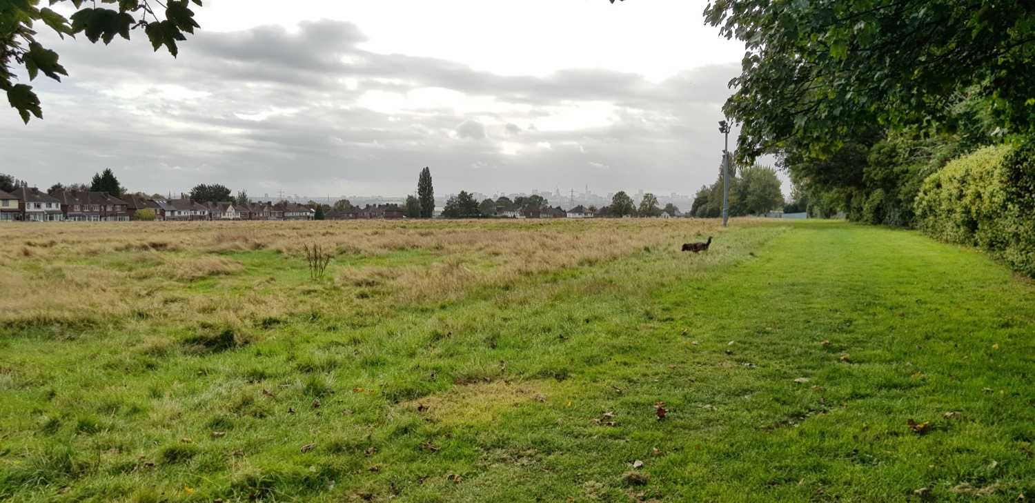 Burford Road Playing Fields